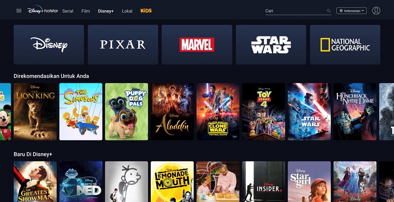 Perbedaan Disney Plus Hotstar Dan Netflix Series - PELAJARAN